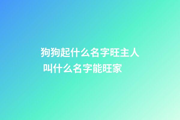 狗狗起什么名字旺主人 叫什么名字能旺家